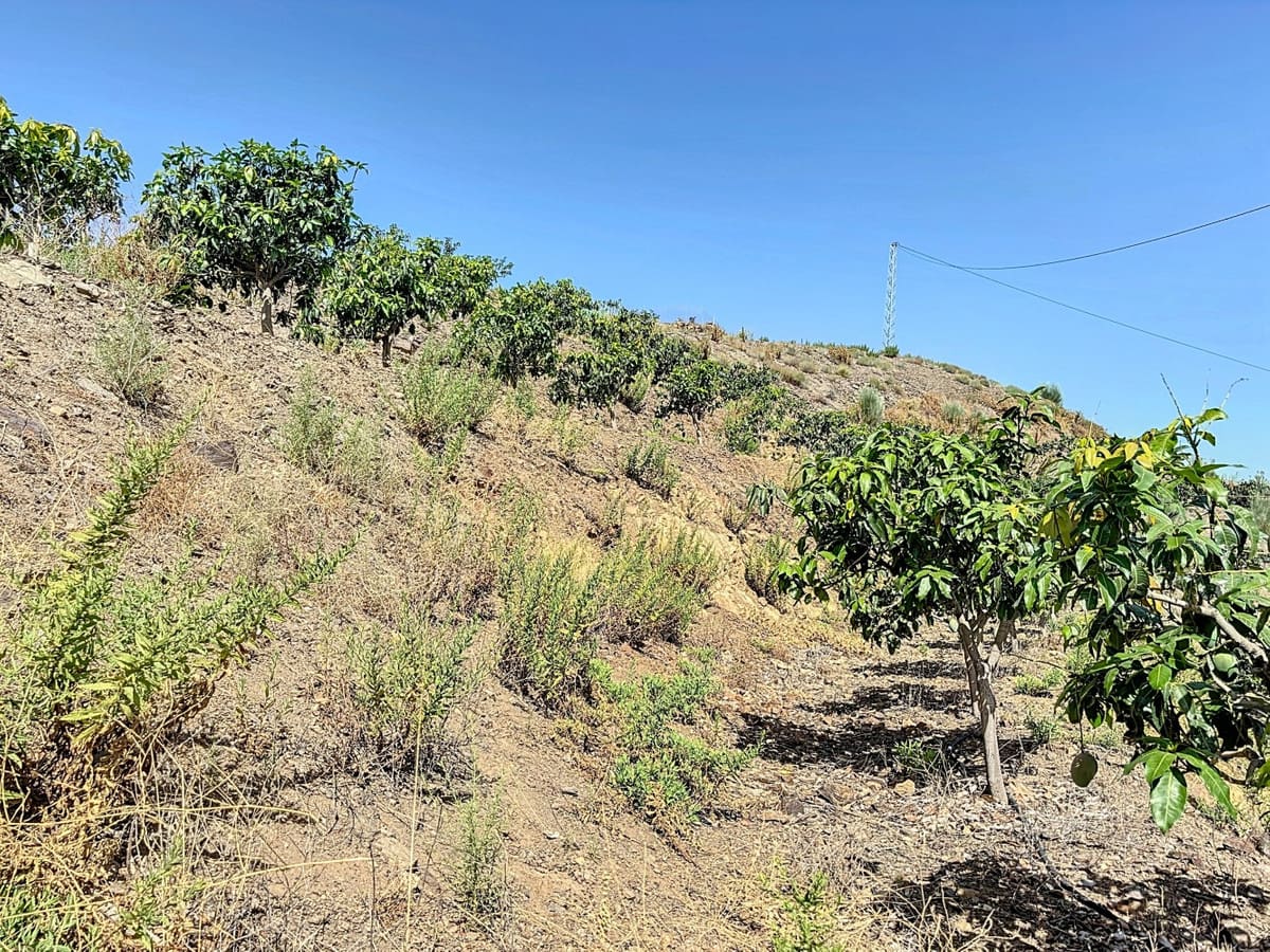 Kavel met 1 slaapkamer in Cajiz — R4854088 in Cajiz - foto 14