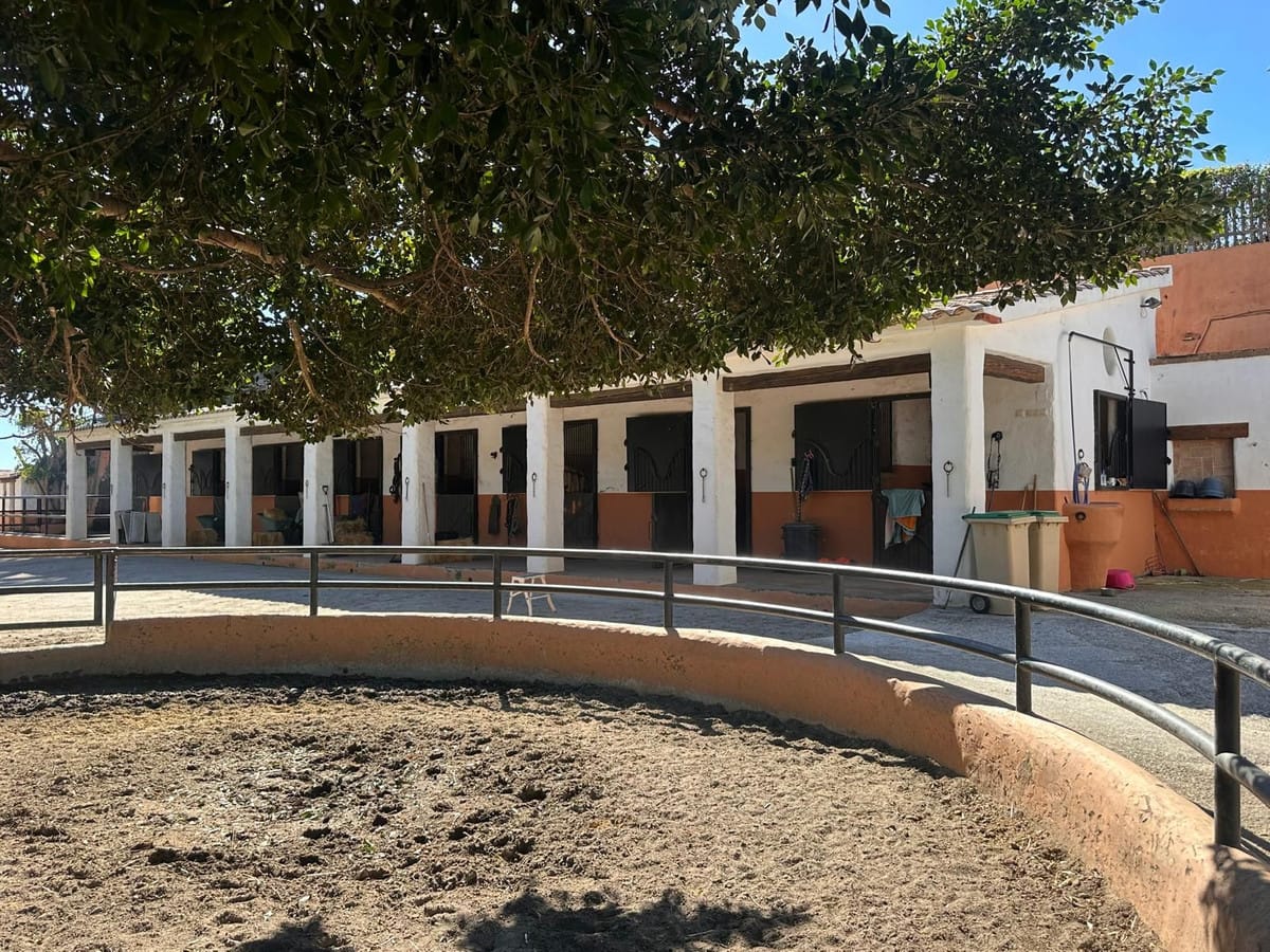 Luxe paardenfinca met 6 slaapkamers in Málaga Este in Málaga Este - foto 5