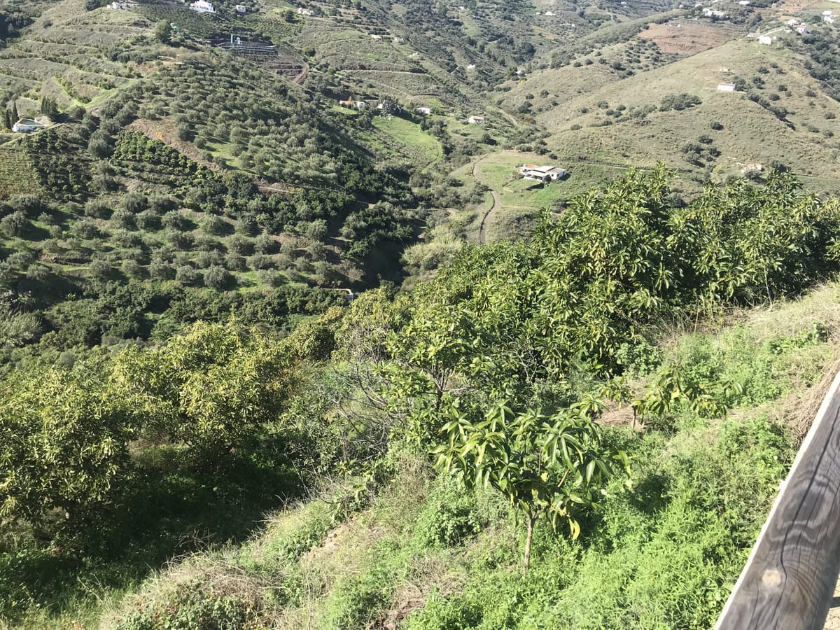 2-slaapkamer finca in Frigiliana in Frigiliana - foto 15