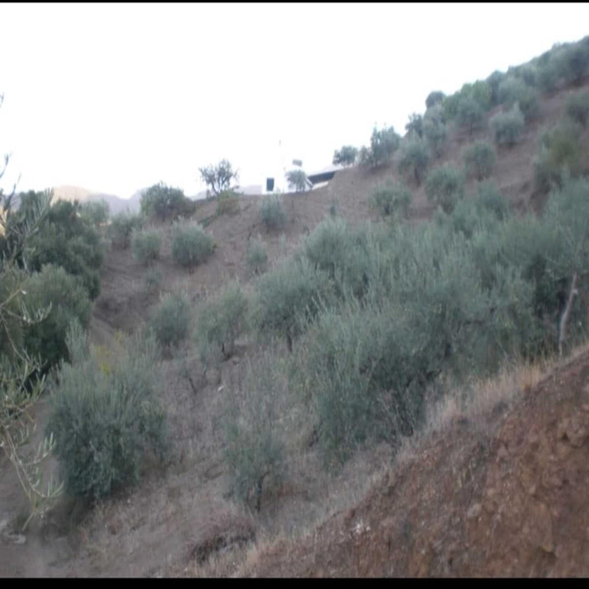 Kavel in Monda in Monda - foto 7