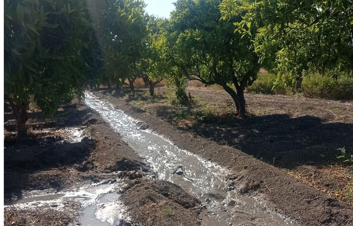 Perceel in Alhaurín el Grande in Alhaurín el Grande - foto 10