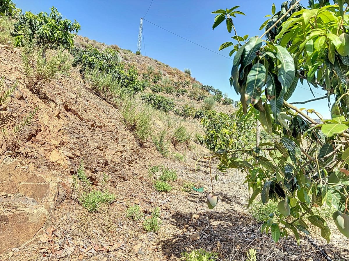 Kavel met 1 slaapkamer in Cajiz — R4854088 in Cajiz - foto 12