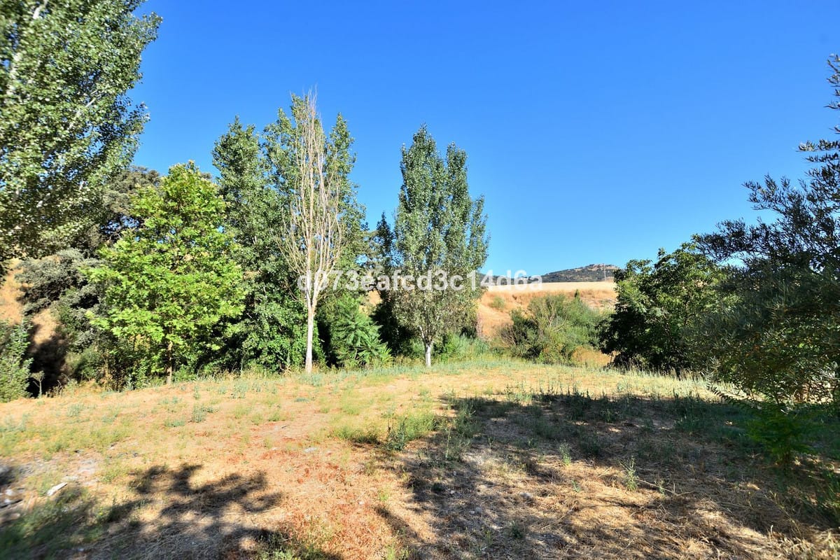 Finca met geïntegreerde woning en pluimveehouderij in Arriate (Málaga) in Arriate - foto 17