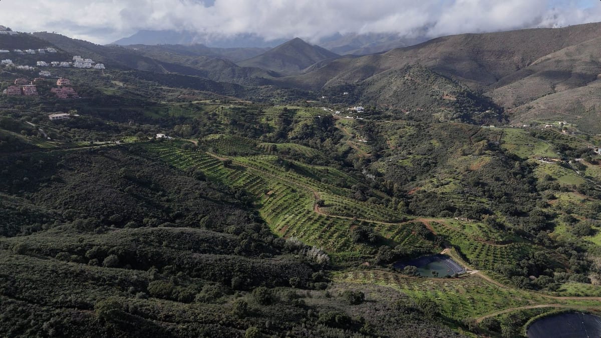 Kavel te koop in La Cala Golf, Málaga in La Cala Golf - foto 11