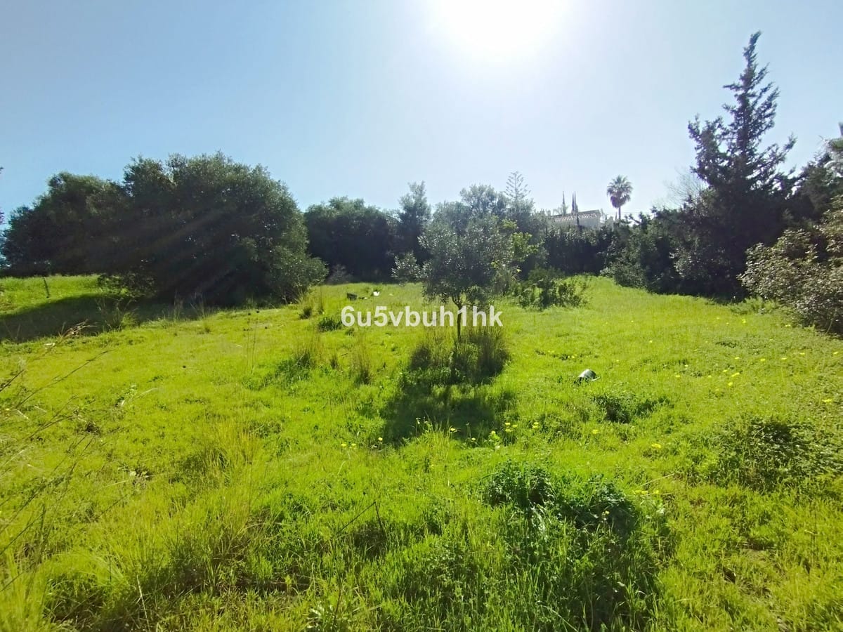 Kavel in Bel Air, Estepona in Bel Air - foto 14