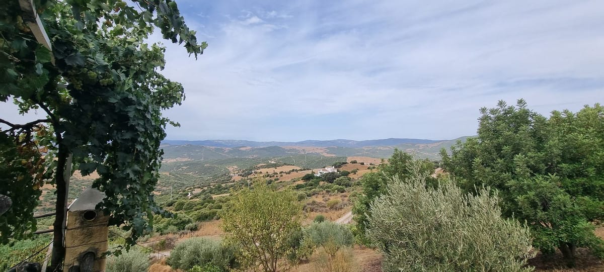 Finca met drie slaapkamers in Casares in Casares - foto 17