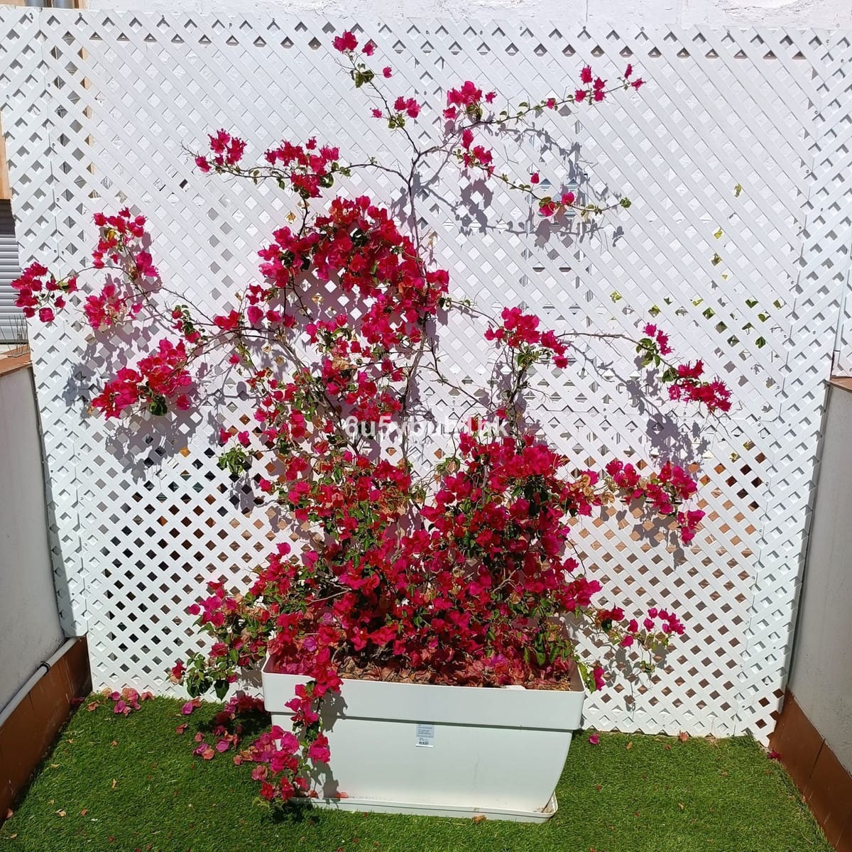 11-slaapkamer stadswoning in Málaga in Málaga - foto 9