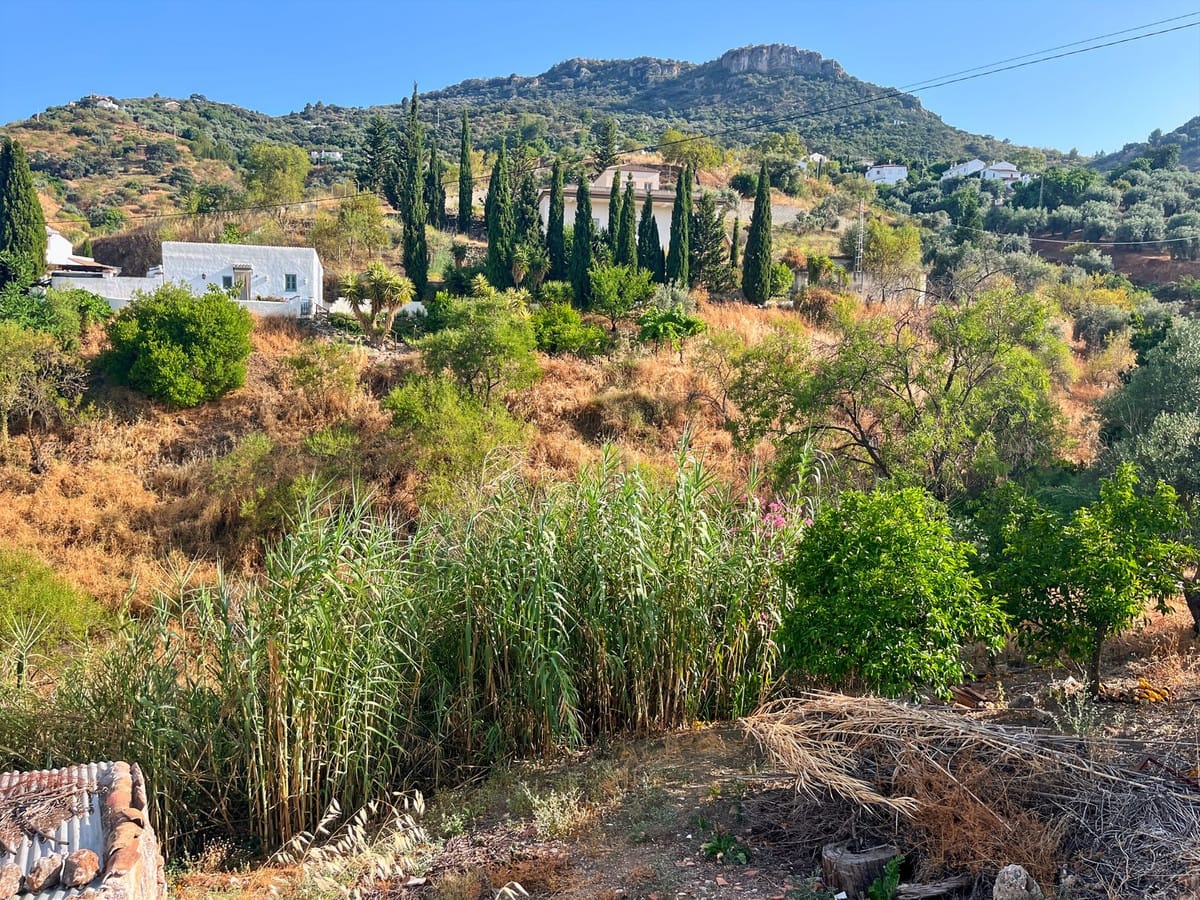 5-slaapkamer finca in Comares (Los Dioses) in Comares - foto 4