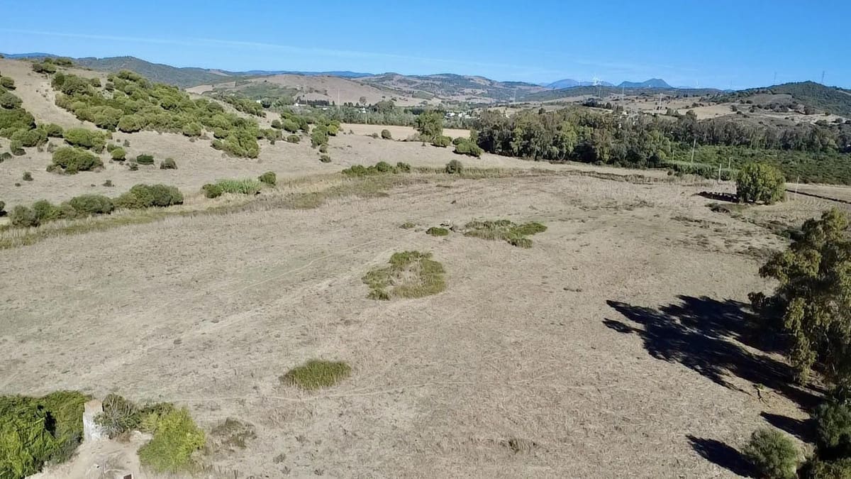 Uitzonderlijk landbouwlandgoed te koop in Sotogrande, Andalusië in Sotogrande - foto 11