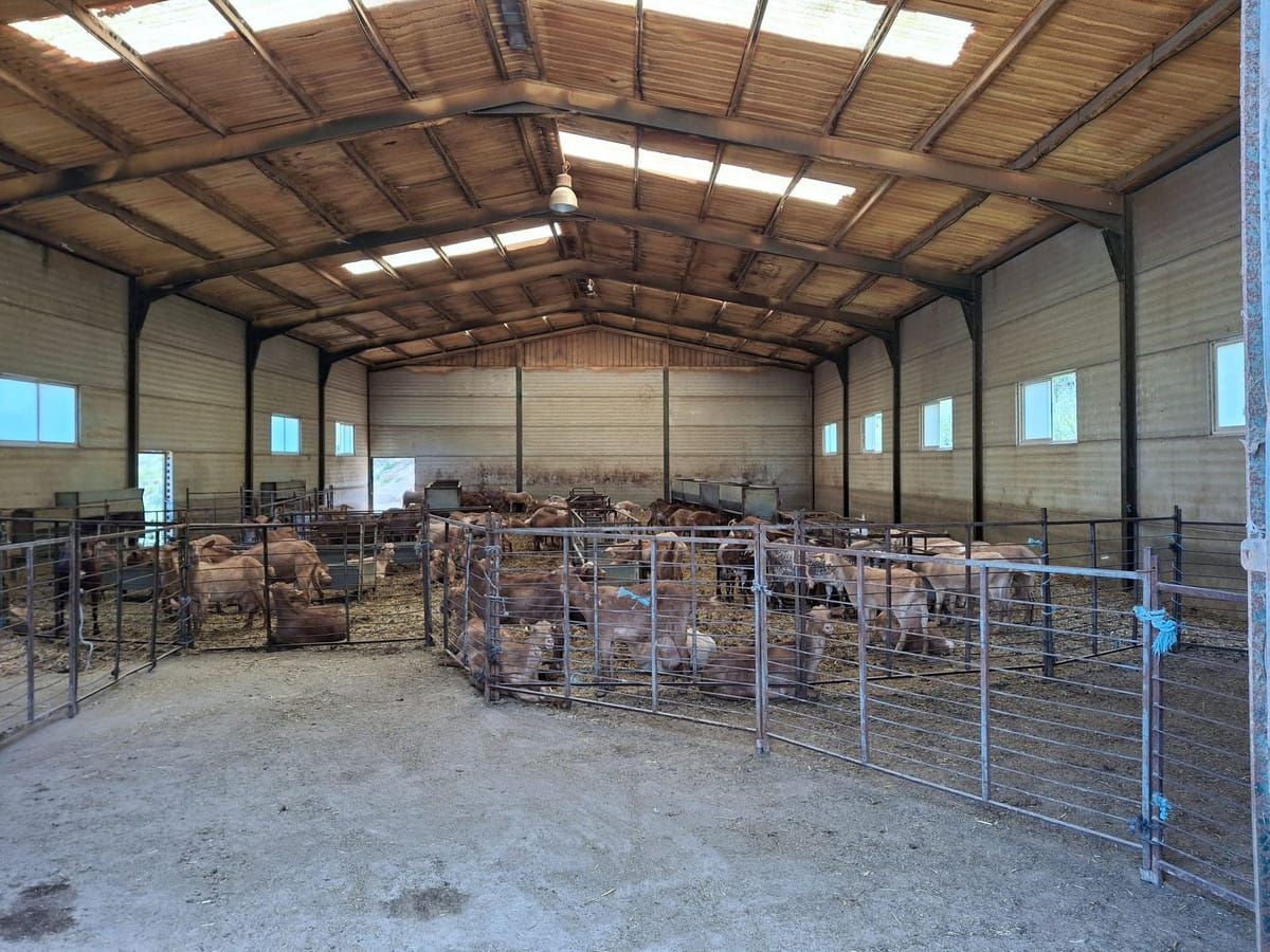 Kavel in Alfarnatejo – Natuurlijk paradijs te koop in Alfarnatejo - foto 11