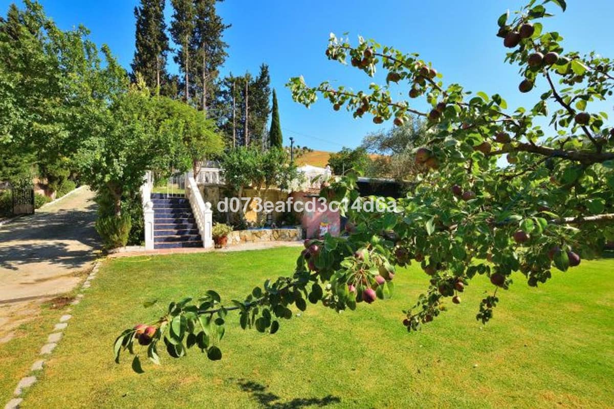 3-slaapkamer finca in Benaoján in Benaoján - foto 4