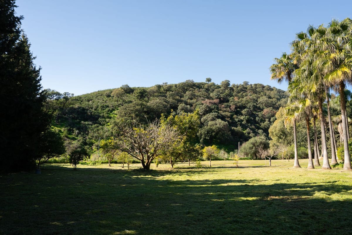 Charmant 4-slaapkamer landhuis in Casares in Casares - foto 17