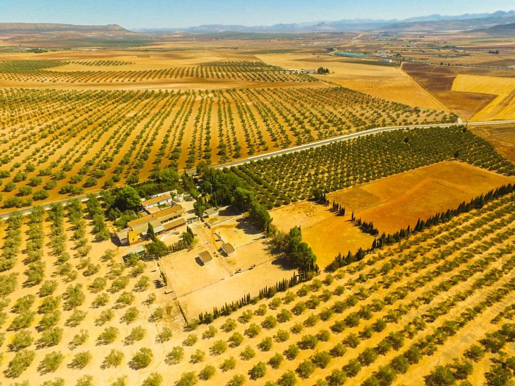 Finca met 9 slaapkamers in Antequera in Antequera - foto 6