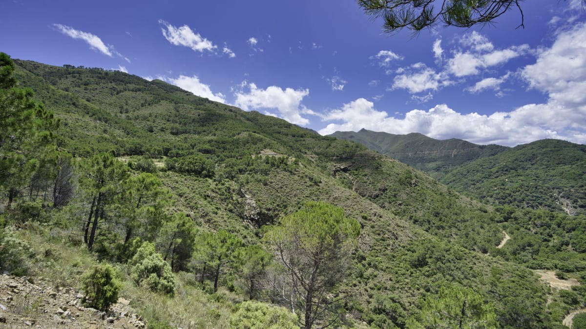 Kavels in Coín tussen Coín en Alhaurín Golf met zeezicht in Coín - foto 11