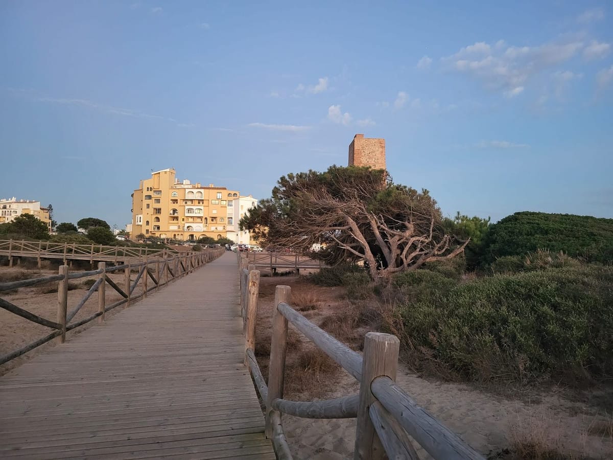 Appartement met 2 slaapkamers in Puerto de Cabopino in Puerto de Cabopino - foto 12