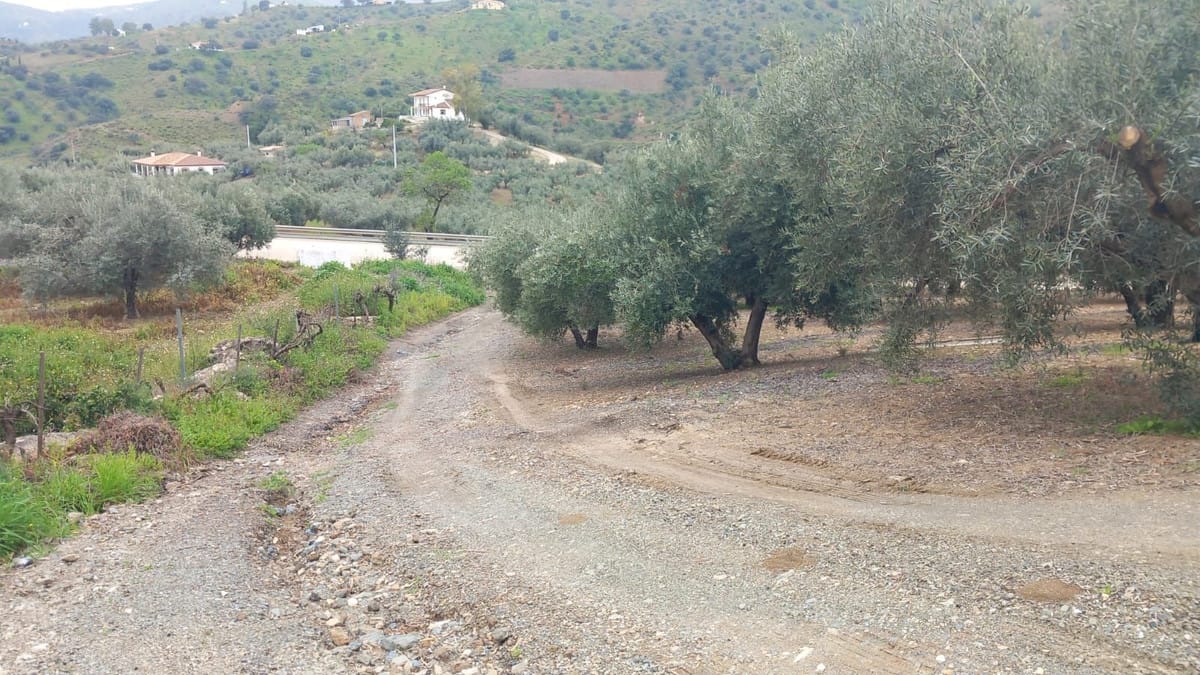 3-slaapkamer Finca in Riogordo, Málaga in Riogordo - foto 19