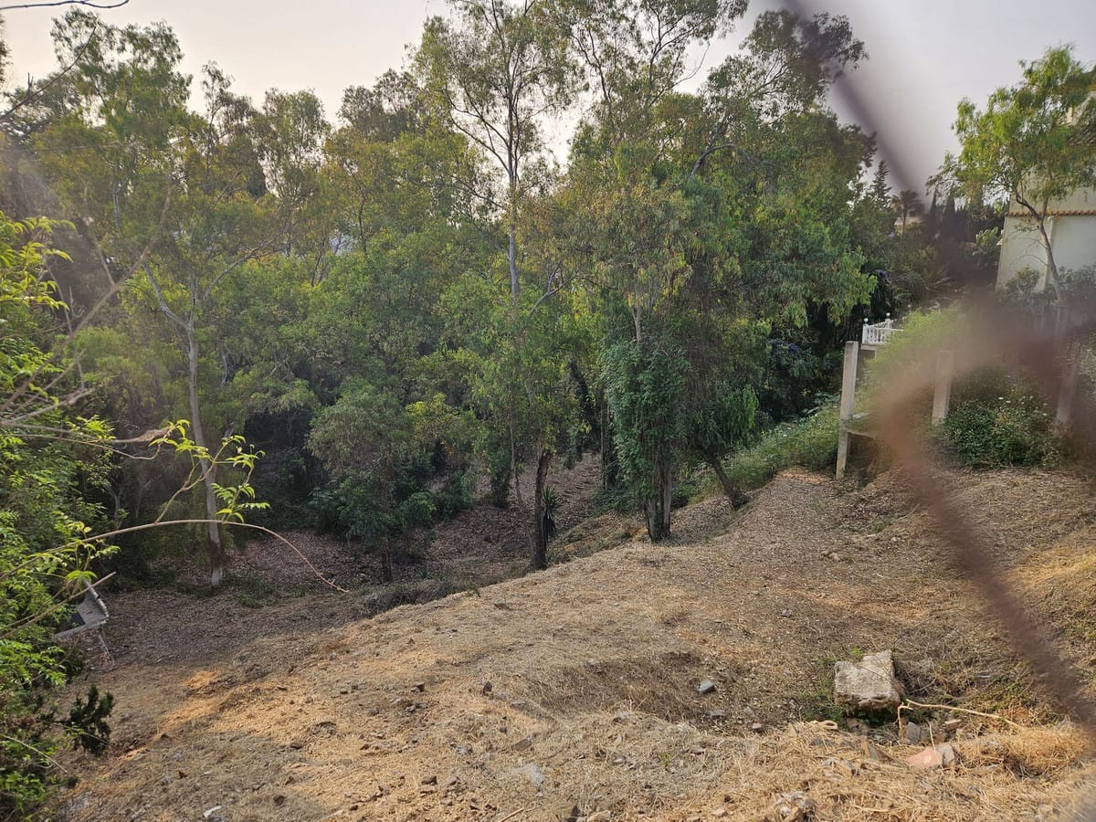 Kavel in Campo Mijas (Mijas, Málaga) — Ref. R4209514 in Mijas - foto 5