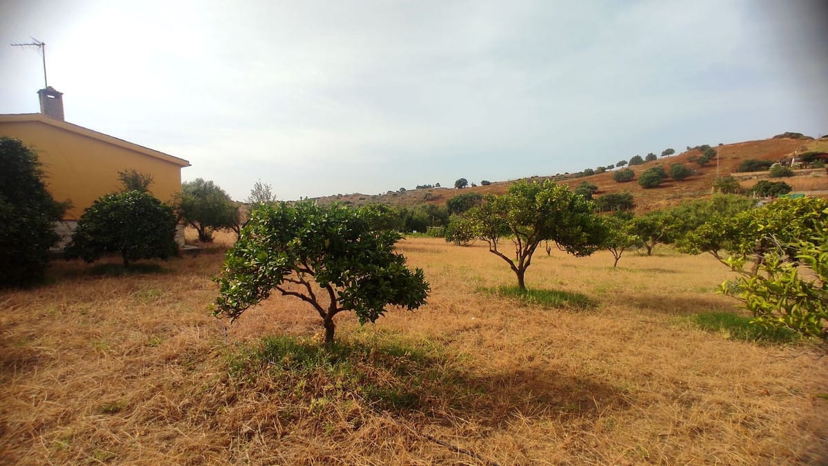 Finca met 2 slaapkamers in La Cala in La Cala - foto 18