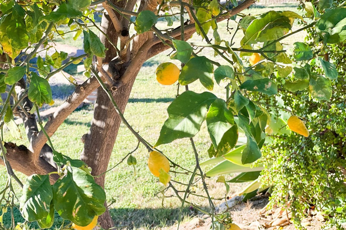 4-slaapkamer villa in Estepona met zee- en bergzichten in Estepona - foto 3