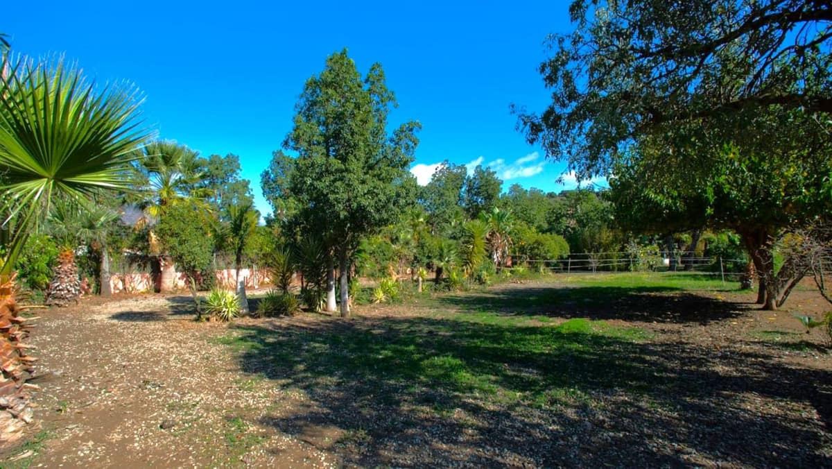 3-slaapkamer finca in Estepona in Estepona - foto 15