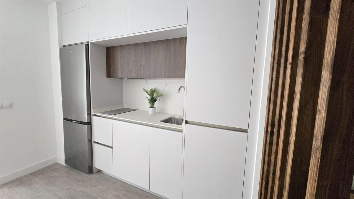 Gerenoveerd studio-appartement in Málaga stadscentrum in Málaga - foto 10