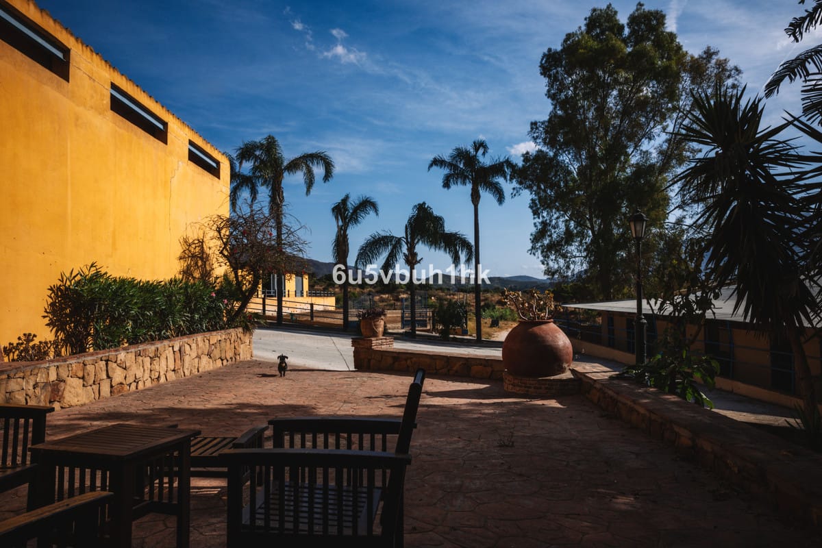 5-slaapkamer finca in Entrerrios, Málaga in Entrerrios - foto 5