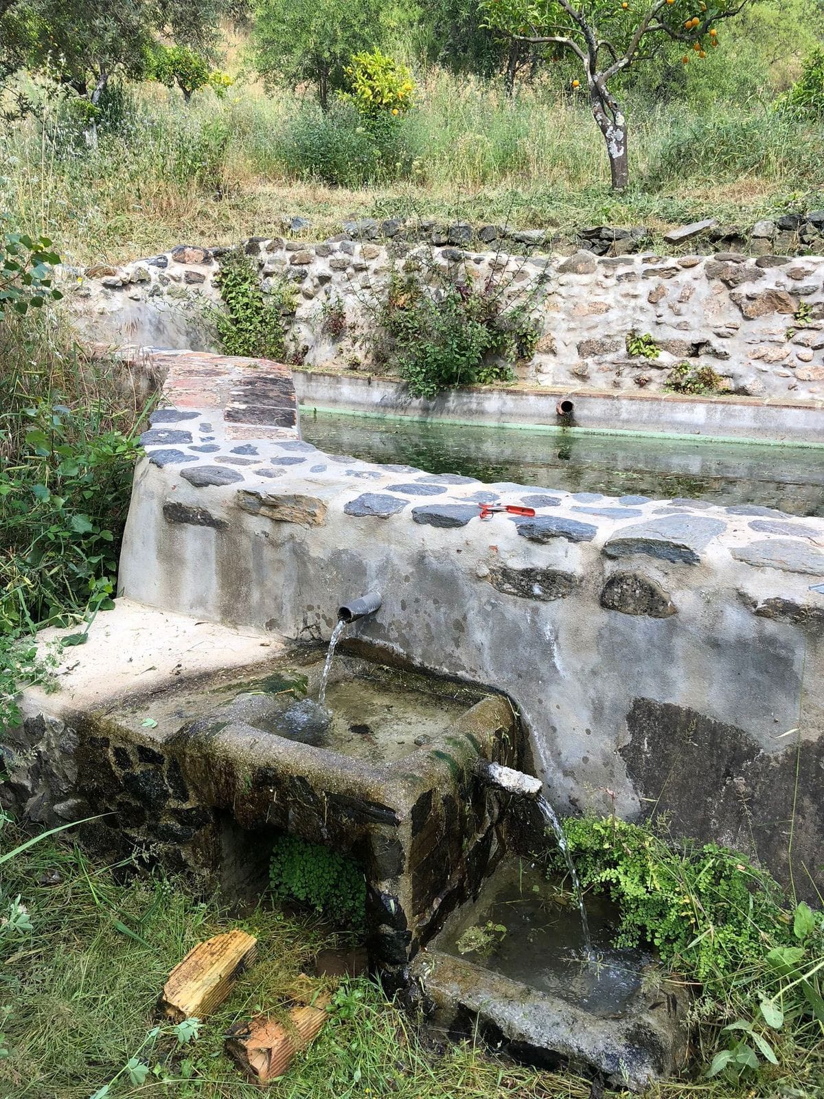 1-slaapkamer finca in Guaro met authentiek Andalusisch karakter in Guaro - foto 14