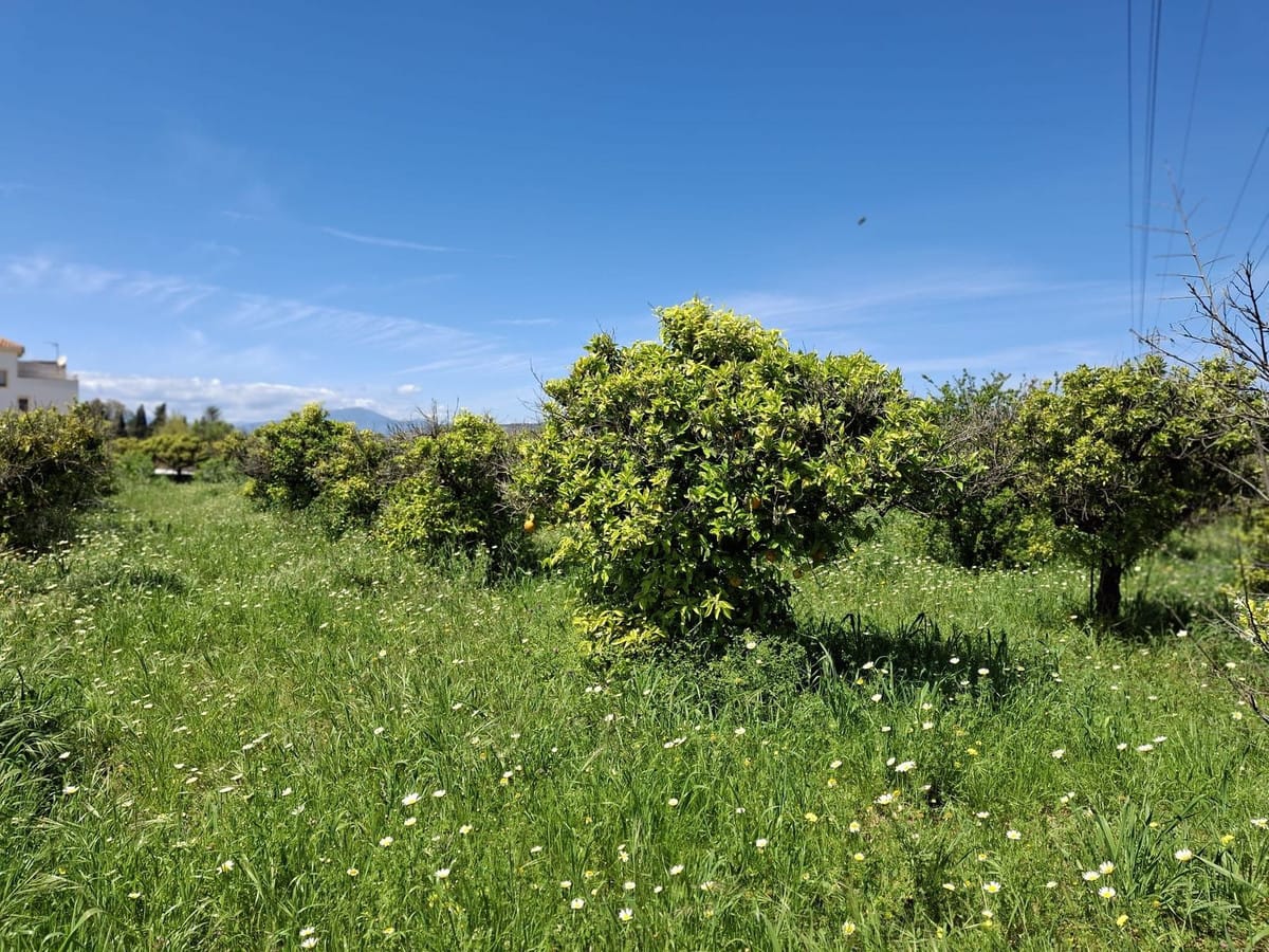 Kavel te koop in Alhaurín de la Torre in Alhaurín de la Torre - foto 11