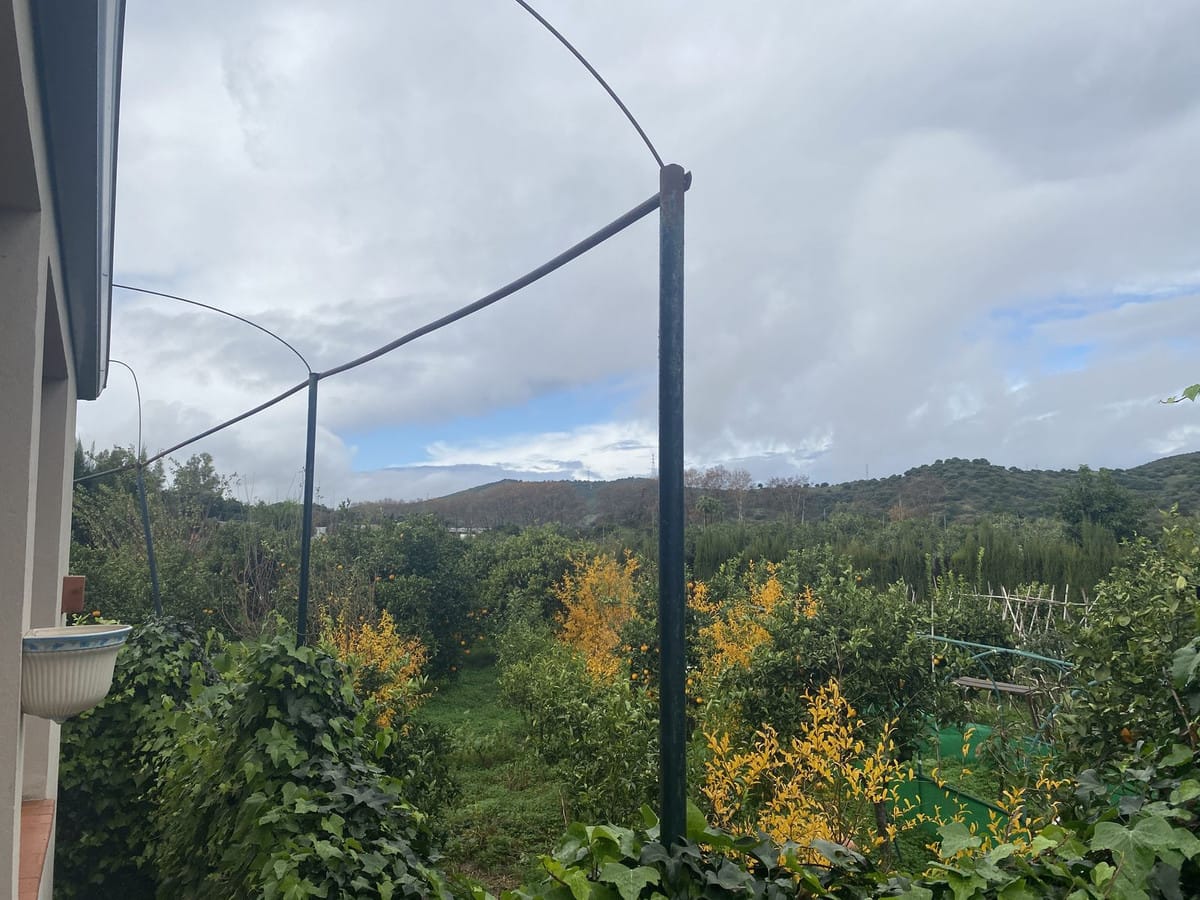 Perceel met woning en landbouwgrond in Sotogrande, Cádiz in Sotogrande - foto 15