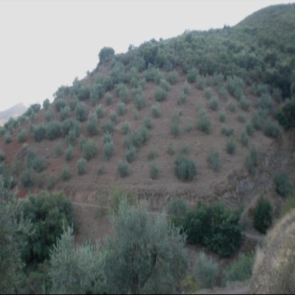 Kavel in Monda in Monda - foto 6