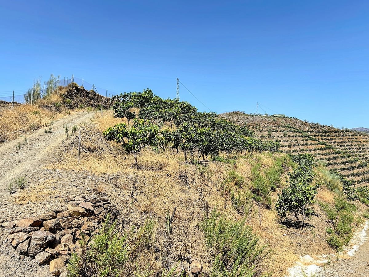 Kavel met 1 slaapkamer in Cajiz — R4854088 in Cajiz - foto 18