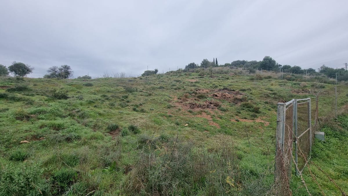 Kavel te koop in Coín, Málaga in Coín - foto 2