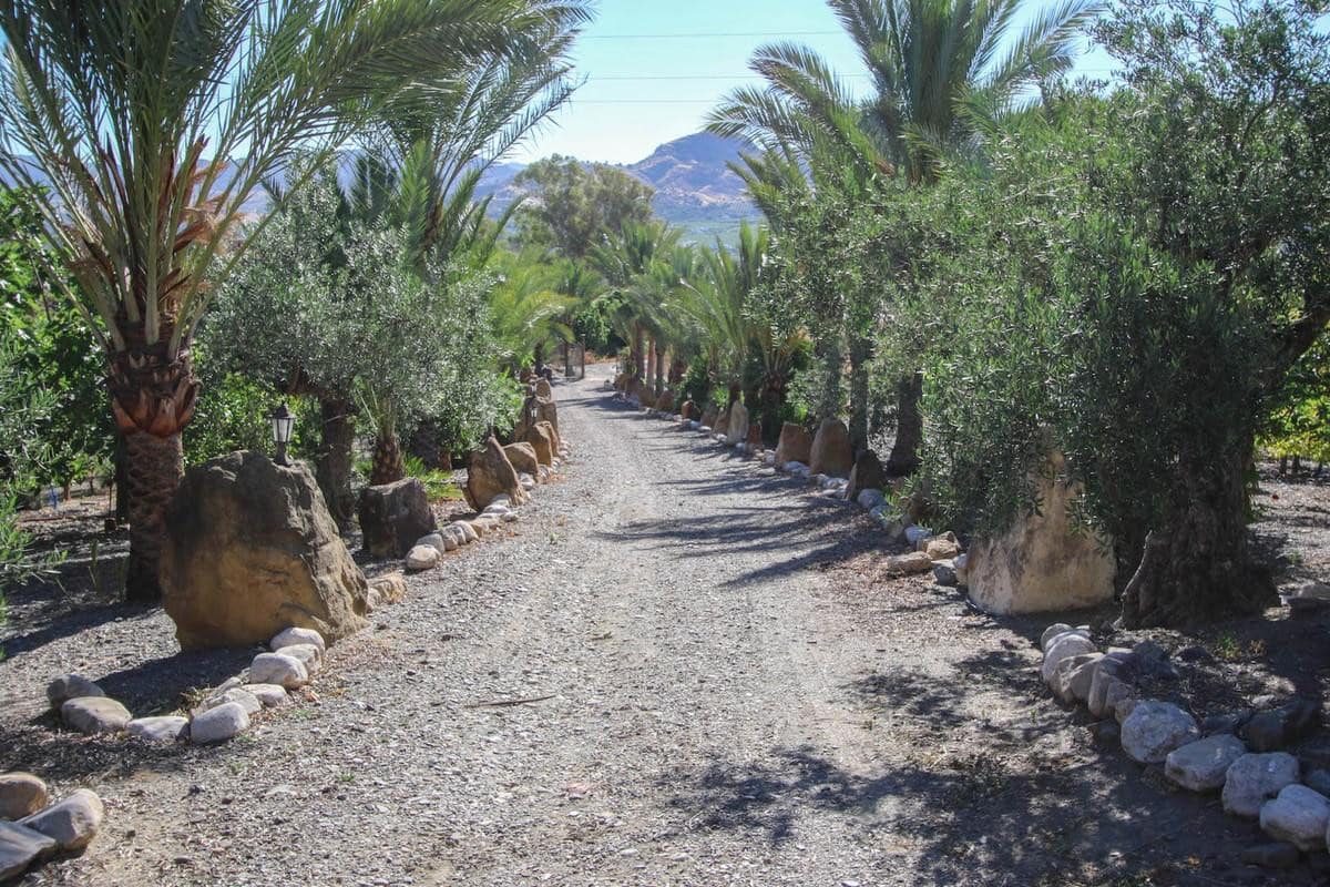 3-slaapkamer villa in Pizarra in Pizarra - foto 6