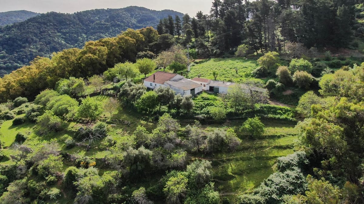 Finca met 3 slaapkamers in Gaucín in Gaucín - foto 15