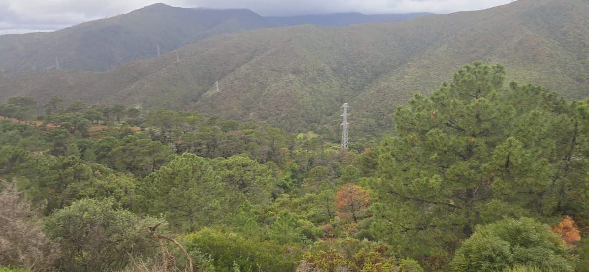 Kavel in Benahavís met panoramisch uitzicht en vergunning in Benahavís - foto 7