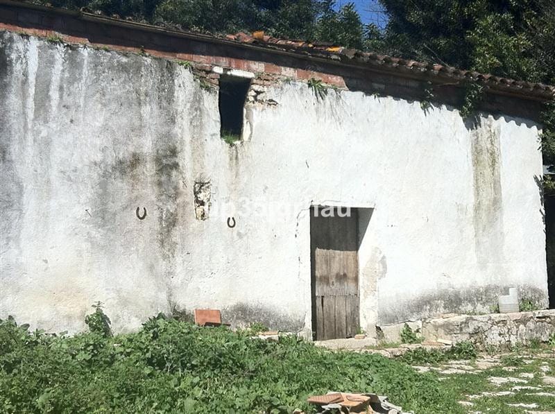 Kavel te koop in Gaucín, Málaga – perceel van 360.000 m² in Gaucín - foto 12