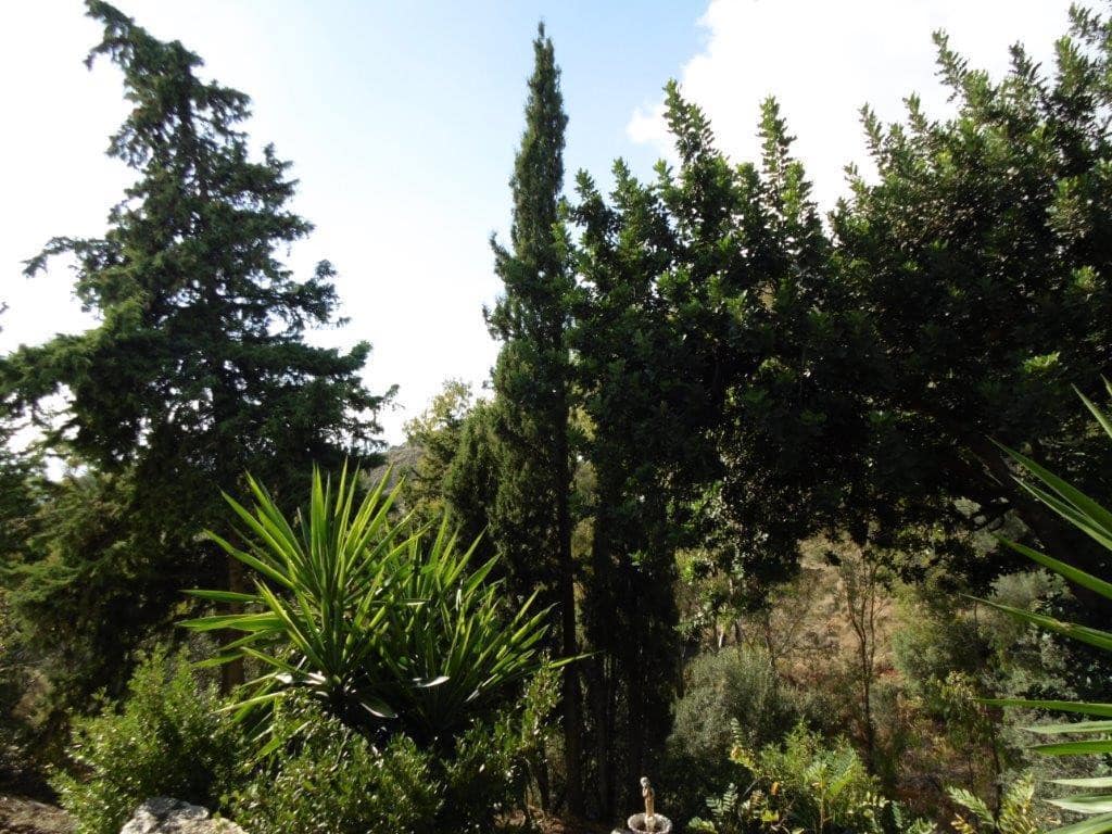 5-slaapkamer villa in Mijas in Mijas - foto 13