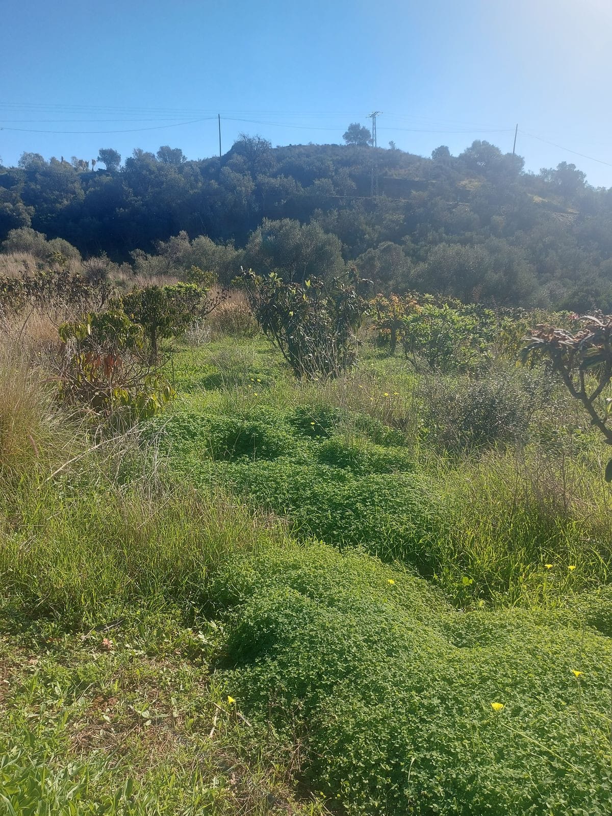 Huis met 2 slaapkamers in Estepona in Estepona - foto 16