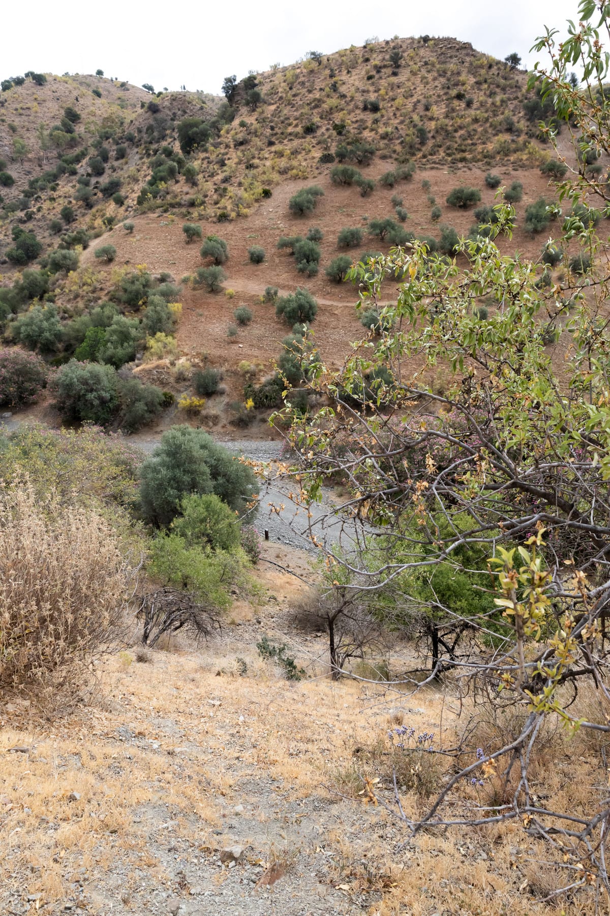 Kavel in Estación de Cártama in Estacion de Cartama - foto 9