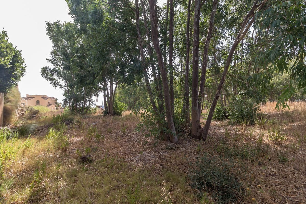 Kavel met zeezicht in Manilva in Manilva - foto 7