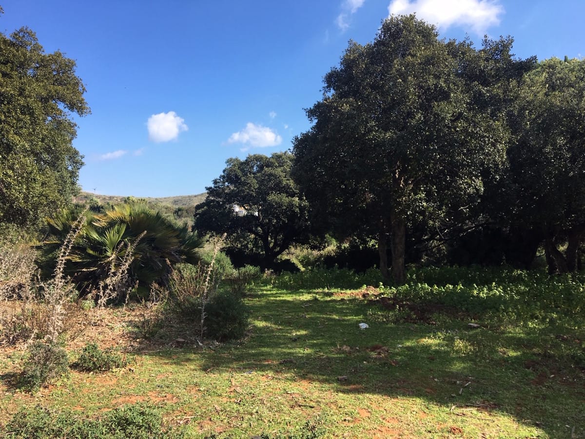 Perceel te koop in Manilva, Costa del Sol in Manilva - foto 12