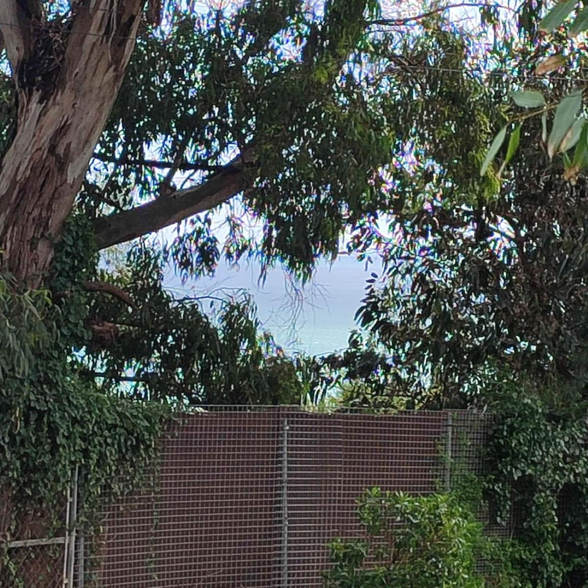 Kavel in Manilva (Chullera Park) – Investering in Manilva - foto 9