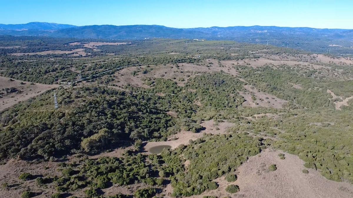 Uitzonderlijk landbouwlandgoed te koop in Sotogrande, Andalusië in Sotogrande - foto 6