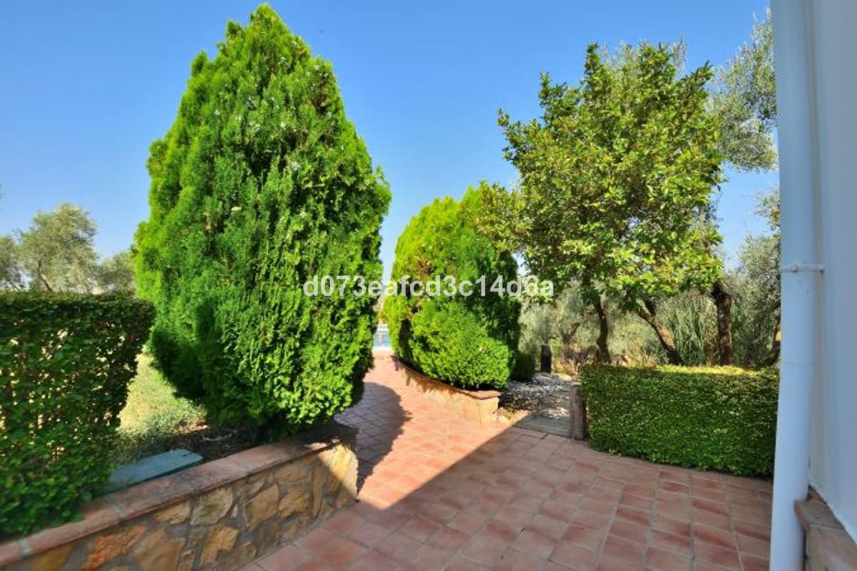 5 bedroom House in Arriate in Arriate - foto 11