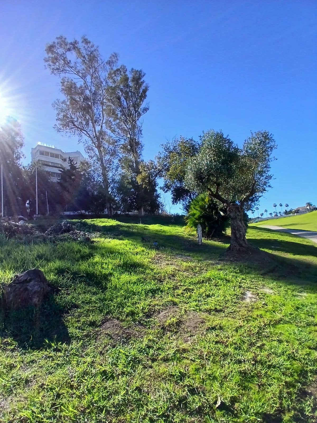 Kavel in Guadalmina, Marbella (R5250592) in Marbella - foto 2