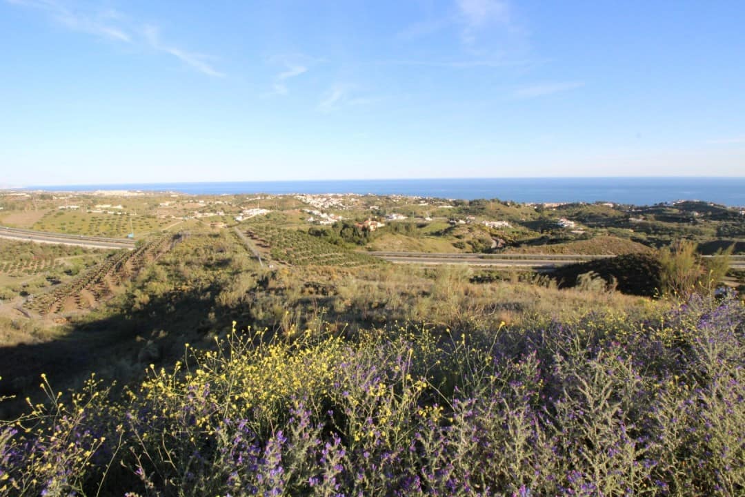 Kavel te koop in Benajarafe, Málaga in Benajarafe - foto 3