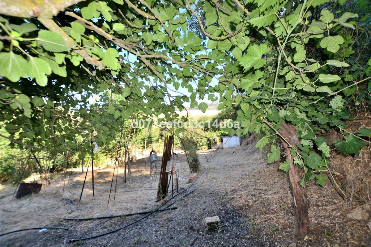 Finca met geïntegreerde woning en pluimveehouderij in Arriate (Málaga) in Arriate - foto 13