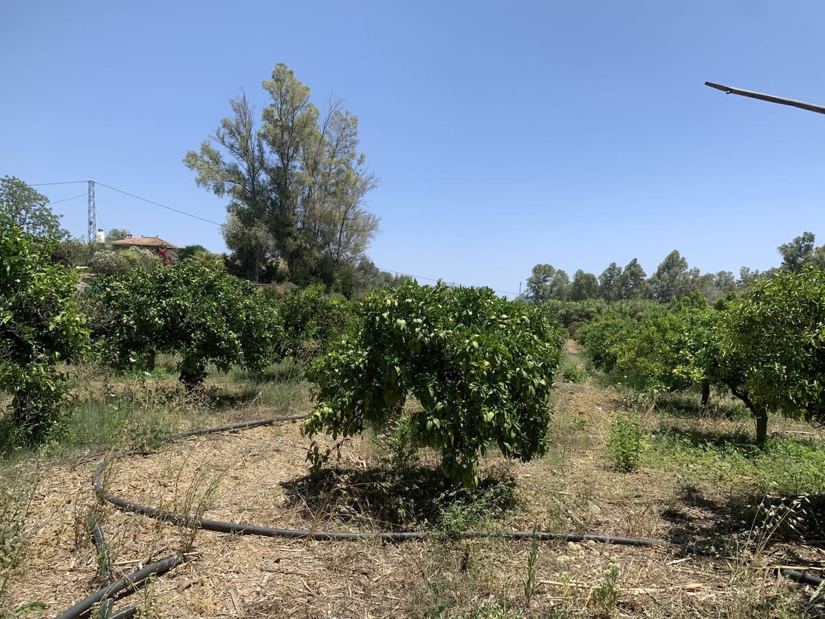 Kavel in Coín, Málaga – €266.500 | Referentie R4372324 in Coín - foto 9