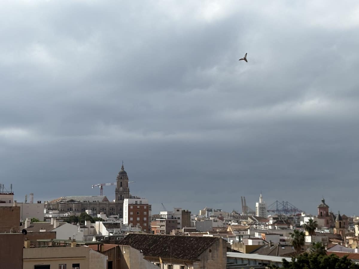 Vier slaapkamer appartement in Málaga Centro in Málaga Centro - foto 17