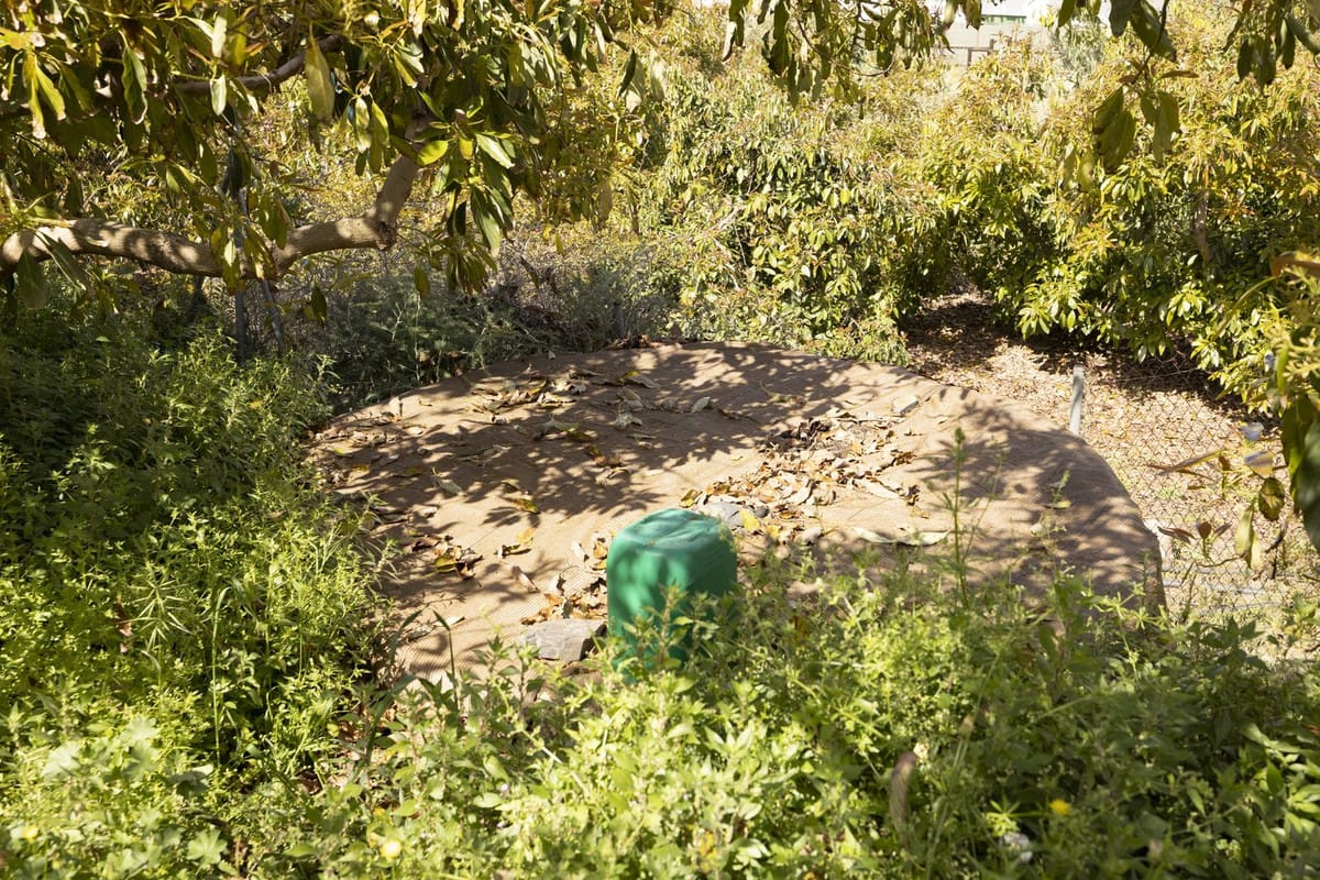 Finca met 46.013 m² terrein en 1 slaapkamer in Algarrobo, Málaga in Algarrobo - foto 13